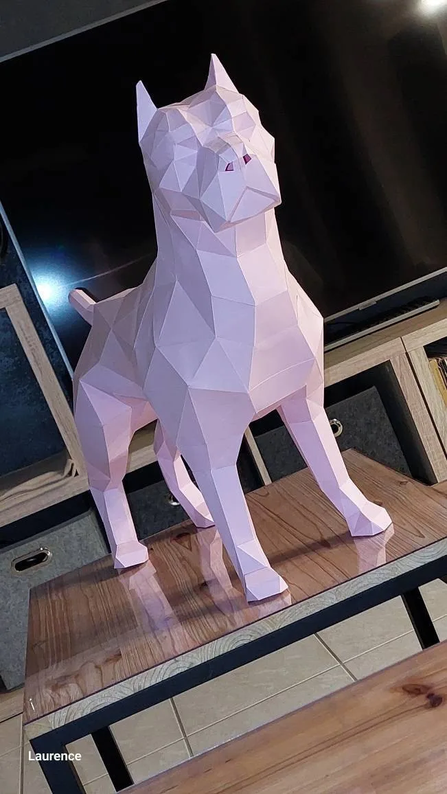 Image #1 de Laurence