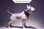 Papercraft bull terrier blanc à collier en origami 3D