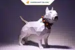 Papercraft bull terrier blanc à collier en origami 3D