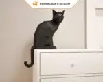 Papercraft de chat noir en origami 3D