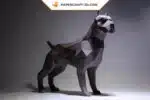 Papercraft chien pit bull origami papier 3D à monter soi-même, vue 3