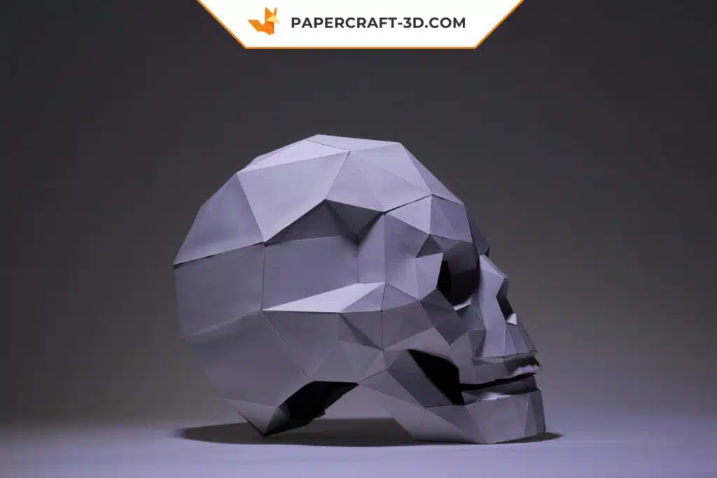 Papercraft di teschio umano in origami, vista 3
