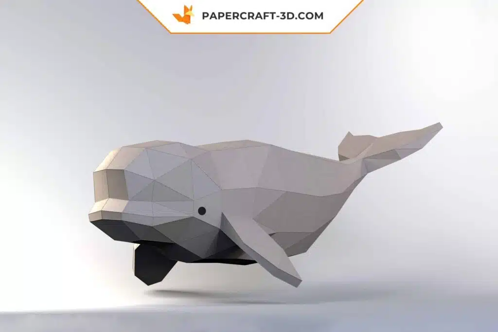 Papercraft dauphin & beluga origami papier 3D, weergave 3