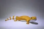 Papercraft gecko léopard en origami papier 3D, weergave 3