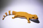 Papercraft leopard gecko in 3D origami