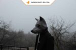 Papercraft wolf mask in 3D origami