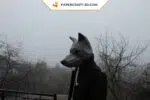 Papercraft loup masque origami papier 3D DIY pour carnaval, Halloween et masquerade, weergave 4