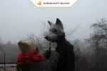Papercraft loup masque origami papier 3D DIY pour carnaval, Halloween et masquerade, weergave 7