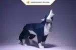 Papercraft de lobo azul em origami 3D