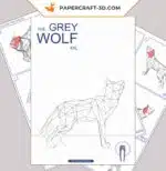 Papercraft lupo XXL in origami 3D