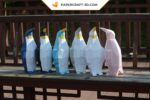 Papercraft of king penguin in 3D origami