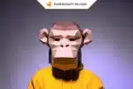 Papercraft masque de chimpanzé en origami papier 3D, weergave 2