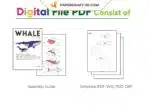 Papercraft modèle de baleine en origami papier 3D, weergave 5