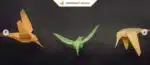 Papercraft oiseaux : kit d&rsquo;origami papier 3D à faire soi-même, weergave 9