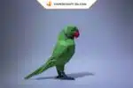 Papercraft di pappagallo verde in origami