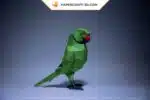 Papercraft di pappagallo verde in origami