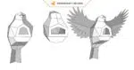 Papercraft de pequenos pássaros em origami 3D