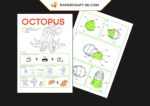Papercraft of octopus in 3D origami