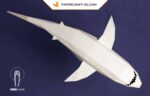 Papercraft de requin blanc XXL en origami 3D