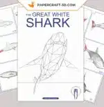 Papercraft de requin blanc XXL en origami 3D