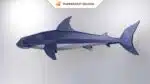 Niedlicher Baby-Hammerhai als 3D-Origami-Papercraft