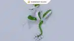 Papercraft Shenlong modèle 3D en origami papier, vue 8
