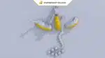 Papercraft Shenlong modèle 3D en origami papier, vue 2
