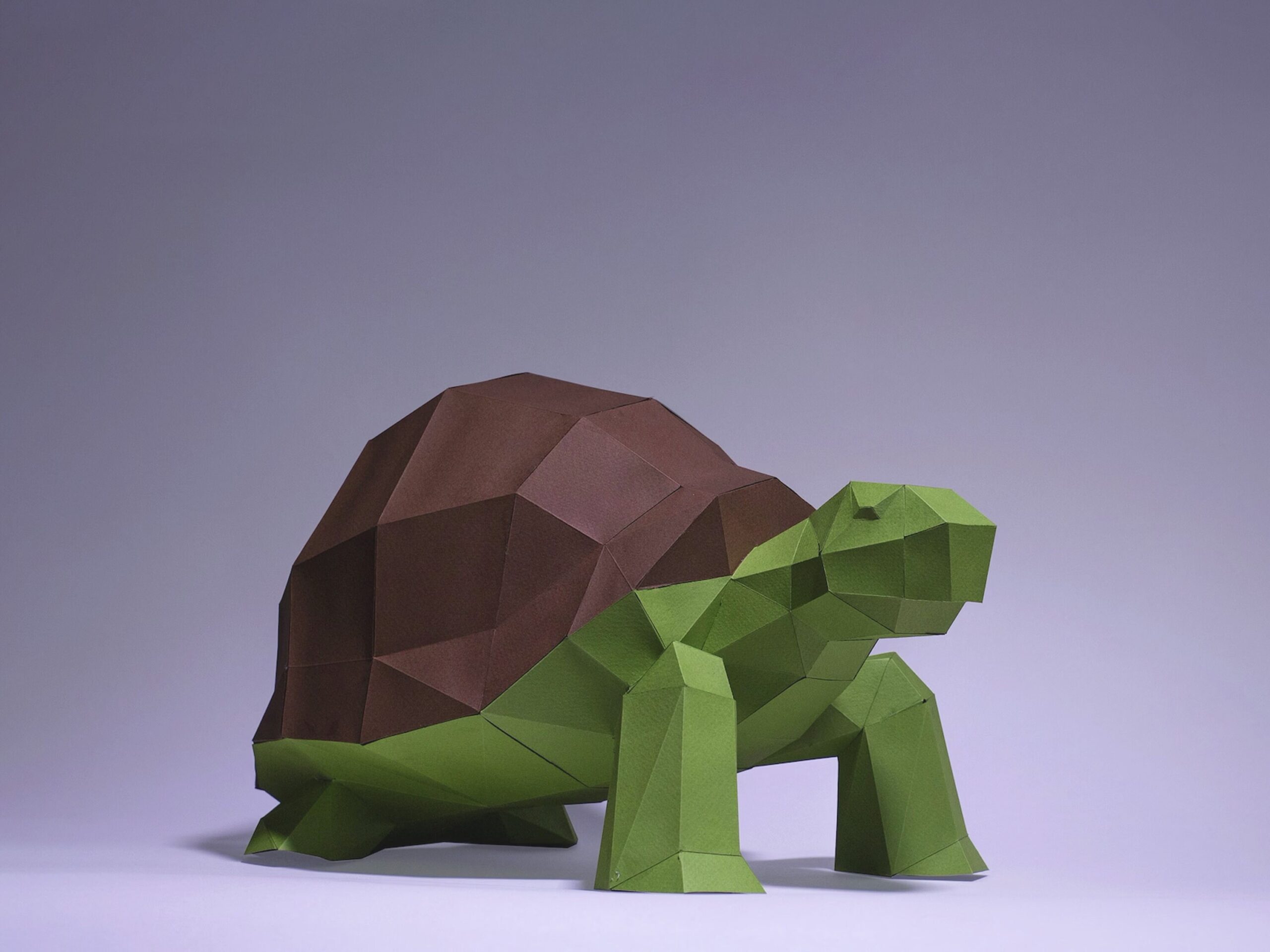 Papercraft green turtle in 3D origami Papercraft green turtle in 3D origami