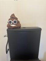 Papercraft de cocô divertido em origami 3D