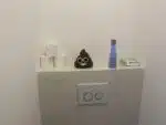 Papercraft de cocô divertido em origami 3D