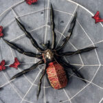 Papercraft d'araignée en origami