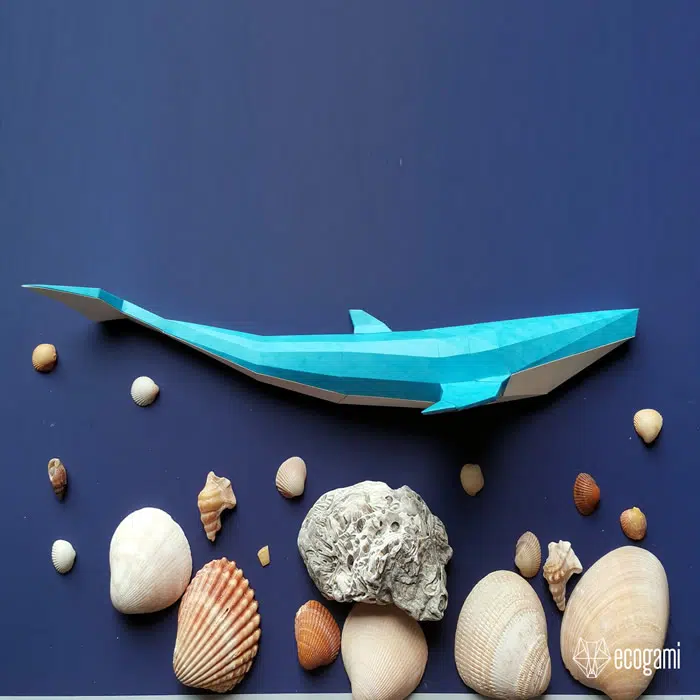 Blauwe vinvis papercraft 3D, weergave 6