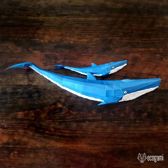 Blauwe vinvis papercraft 3D, weergave 5