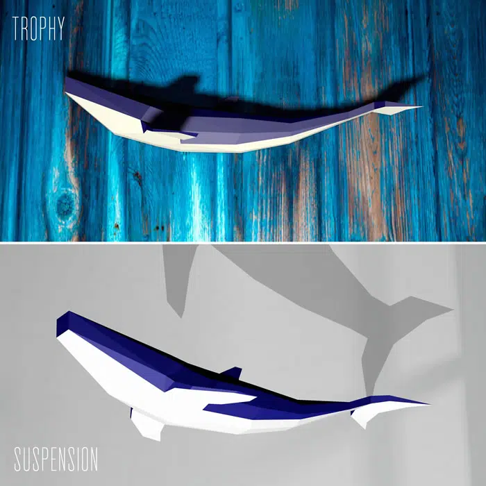 Blauwe vinvis papercraft 3D, weergave 4