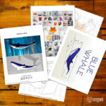 Papercraft eines Blauwals in 3D-Origami