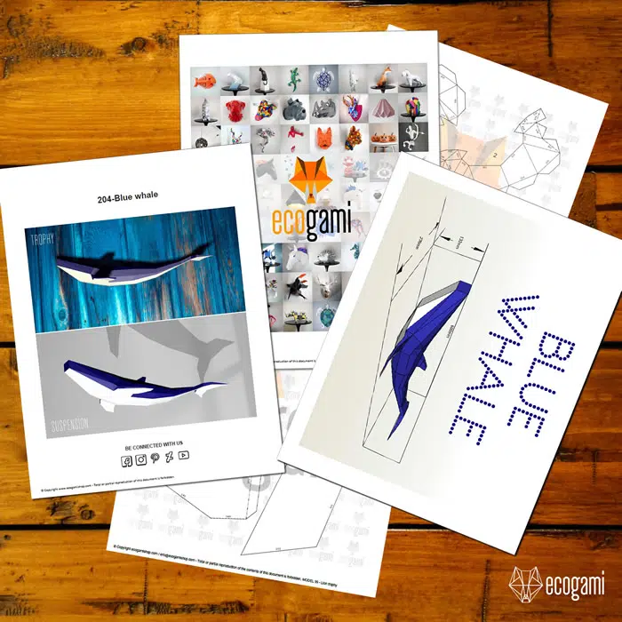 Blauwe vinvis papercraft 3D, weergave 3