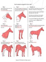 Papercraft cavallo in piedi in origami 3D