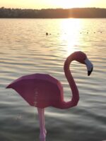 Papercraft mehrere Flamingos in 3D-Origami