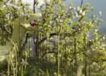 Papercraft cabeza de raptor Jurassic Park en origami