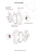 Papercraft of Medusa Gorgon in 3D origami