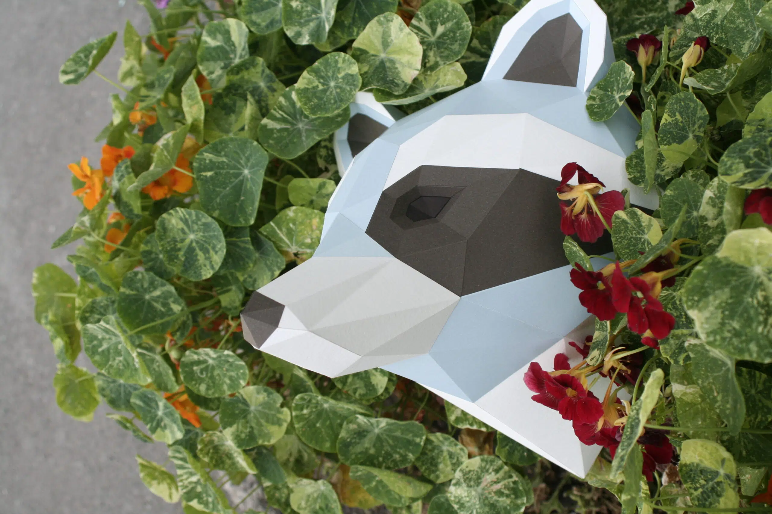 Papercraft de cabeça de guaxinim em origami 3D, montado