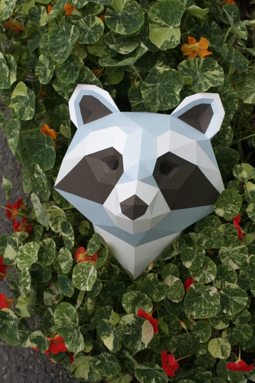 Papercraft de cabeça de guaxinim em origami 3D