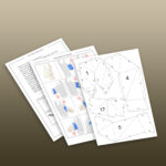 Papercraft llama head to display in 3D origami