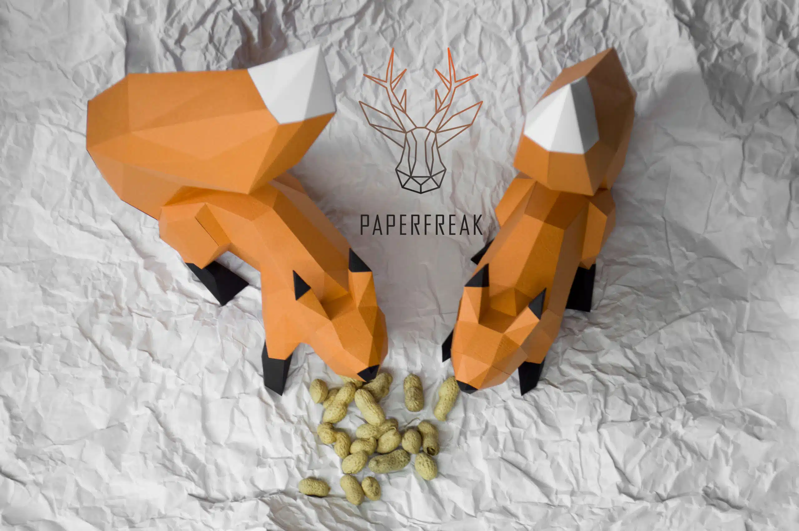 Rode eekhoorns duo 3D papercraft, weergave 5