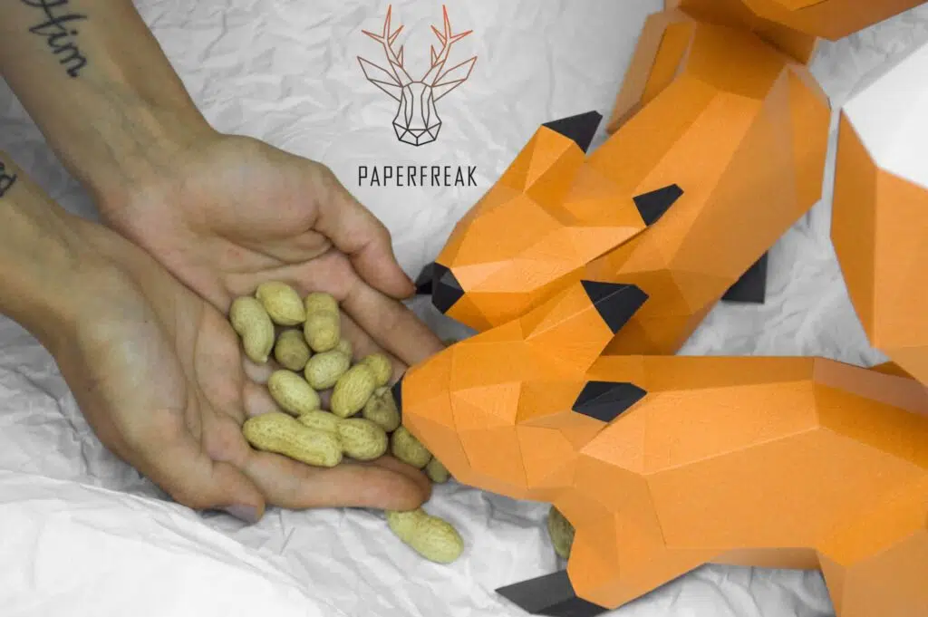 Rode eekhoorns duo 3D papercraft, weergave 2