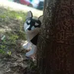 Papercraft de filhote de Husky em origami