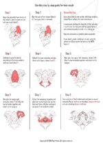 Papercraft Kraken octopus in origami