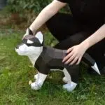Papercraft de filhote de Husky em origami