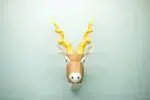 Origami 3D - Kop van zwartbuikantilope, weergave 5