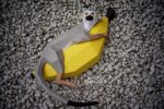 Papercraft de macaco na banana em origami 3D